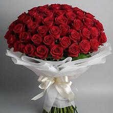 Букет 101 Красная роза Блэк Мэджик в Архиповском