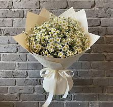Букет цветов из:  Ромашки #REPLACE_PRED# Архиповском