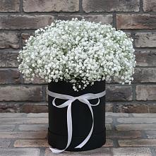 Цветочная композиция из Гипсофила в шляпной коробке #REPLACE_PRED# Архиповском